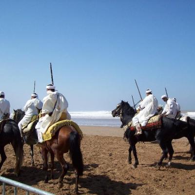 Axecibles au Rallye des Gazelles 2010