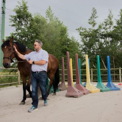 Formation management en equicoaching pour les responsables du siège d’Axecibles 