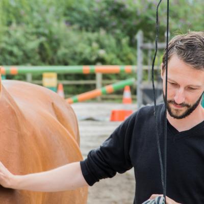 Formation management en equicoaching pour les responsables du siège d’Axecibles 