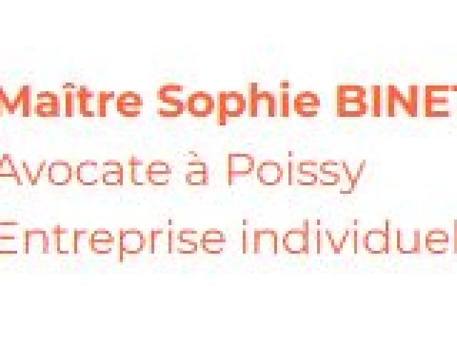 Maître Sophie BINET, Avocat