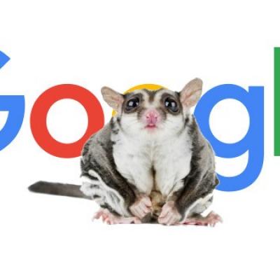 Google Possum, ou la mystérieuse mise à jour de Google sur le SEO local.